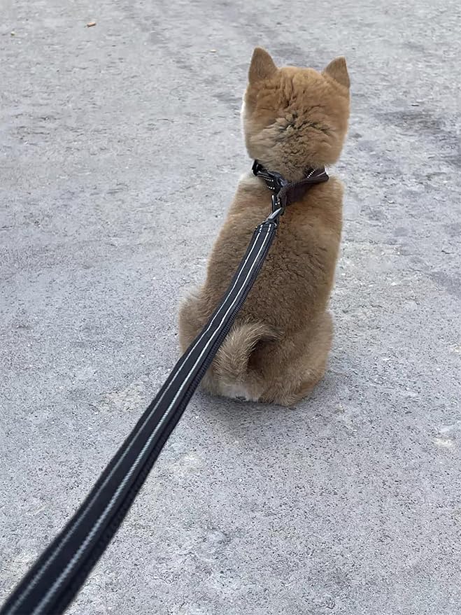 Reflective Pet Leash 2m - Black